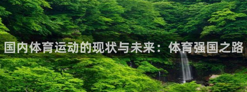 哈哈体育十年：国内体育运动的现状与未来：体育强国之路