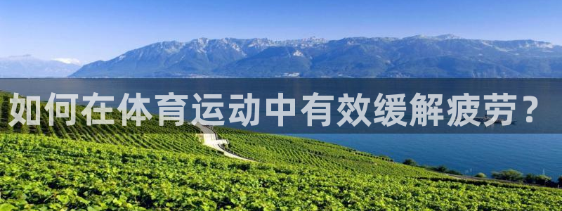 哈哈体育：如何在体育运动中有效缓解疲劳？