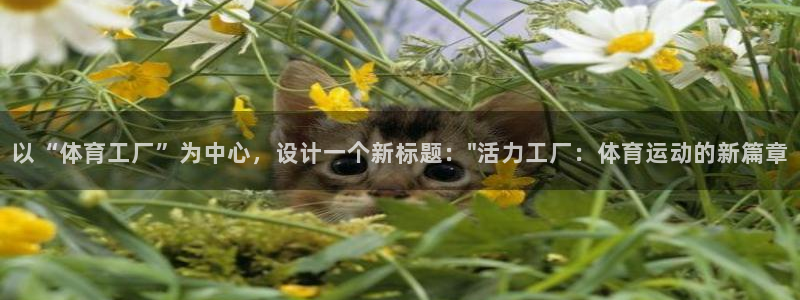 哈哈体育下载：以“体育工厂”为中心，设计一个新标题：\