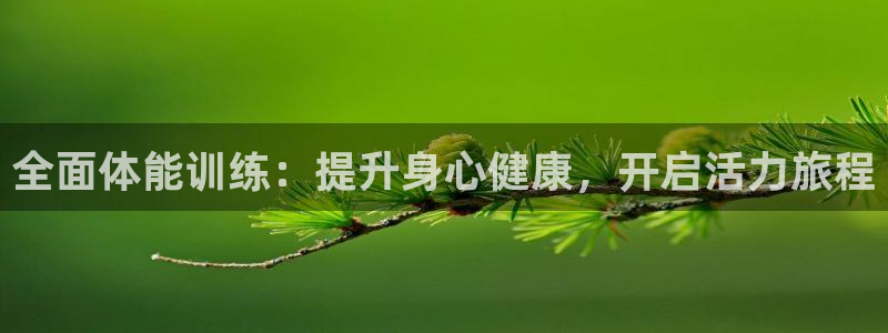 哈哈体育：全面体能训练：提升身心健康，开启活力旅程