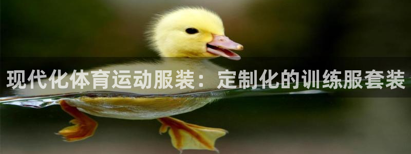 哈哈体育下载：现代化体育运动服装：定制化的训练服套装