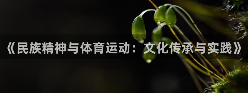 哈哈体育：《民族精神与体育运动：文化传承与实践》
