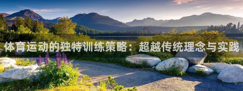 哈哈体育：体育运动的独特训练策略：超越传统理念与实践