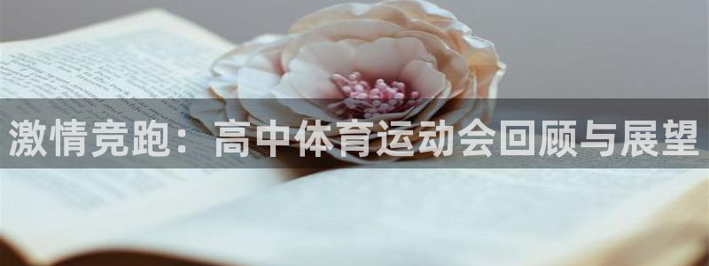 哈哈体育十年：激情竞跑：高中体育运动会回顾与展望