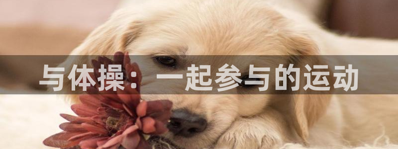 哈哈体育：与体操：一起参与的运动
