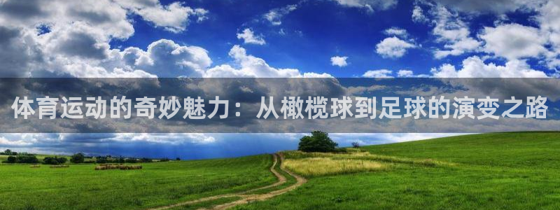 哈哈体育十年：体育运动的奇妙魅力：从橄榄球到足球的演变之路