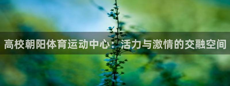 哈哈体育十年：高校朝阳体育运动中心：活力与激情的交融空间