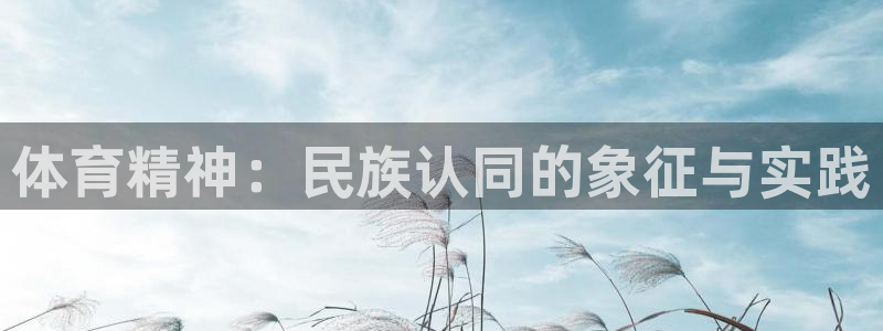 哈哈体育下载：体育精神：民族认同的象征与实践