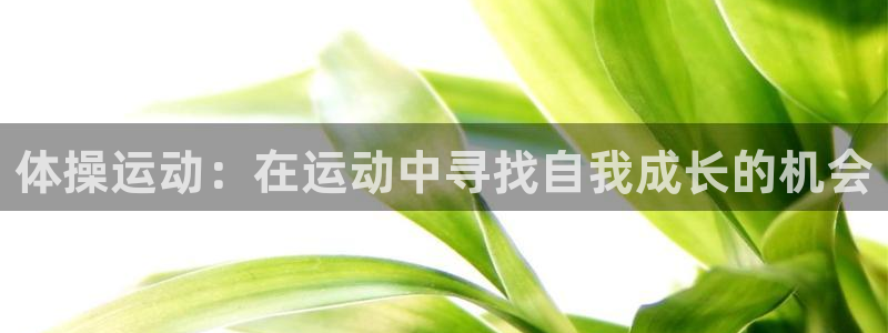 哈哈体育十年：体操运动：在运动中寻找自我成长的机会