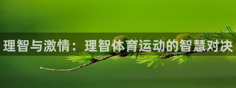 哈哈体育十年：理智与激情：理智体育运动的智慧对决