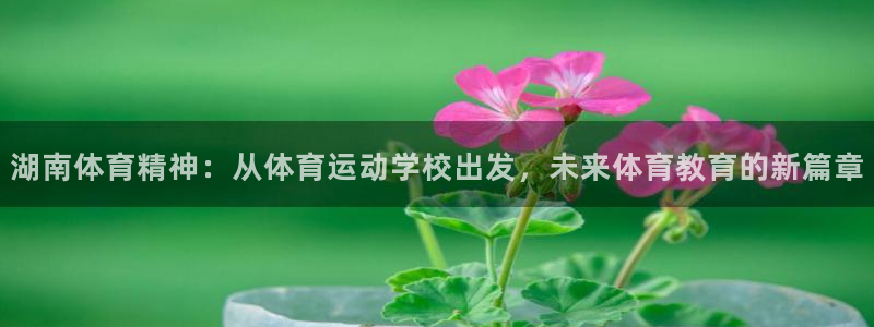 哈哈体育十年：湖南体育精神：从体育运动学校出发，未来体育教育的新篇章