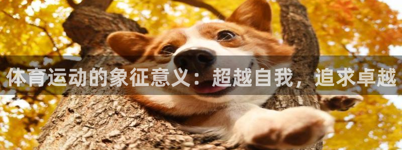 哈哈体育十年：体育运动的象征意义：超越自我，追求卓越