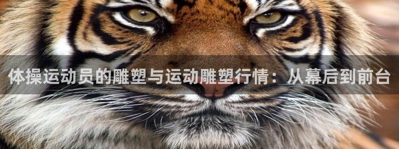 哈哈体育十年：体操运动员的雕塑与运动雕塑行情：从幕后到前台