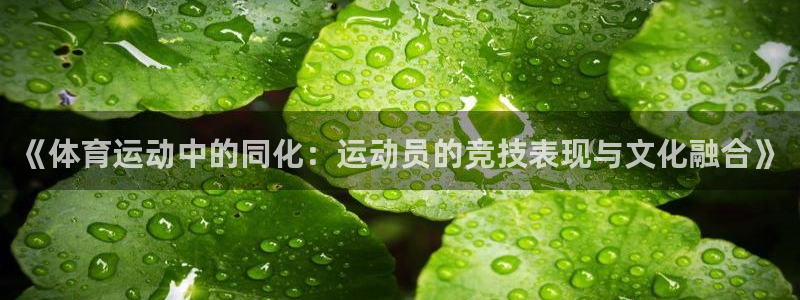 哈哈体育下载：《体育运动中的同化：运动员的竞技表现与文化融合》