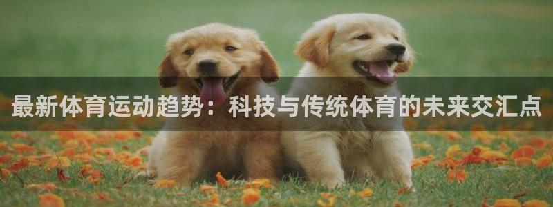 哈哈体育十年：最新体育运动趋势：科技与传统体育的未来交汇点